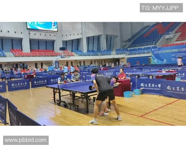 南京乒乓球队在全国锦标赛中的强势表现与未来发展潜力分析