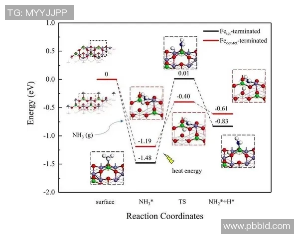 北京排球队实力分析与发展潜力的深度探讨与展望