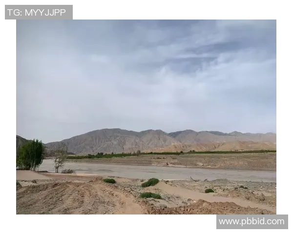 南京排球队与广州排球队赛后复盘分析意识与战术的深度探讨 南京排球队与广州排球队赛后复盘分析意识与战术的深度探讨