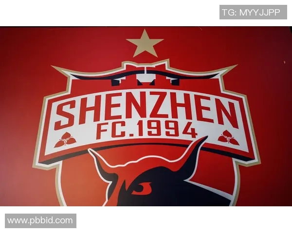 深圳排球队的蜕变之路：从挑战到辉煌的冠军赛特别报道