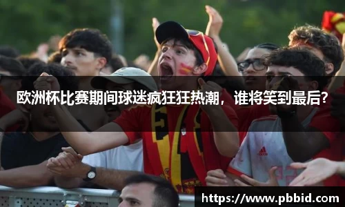 欧洲杯比赛期间球迷疯狂狂热潮，谁将笑到最后？