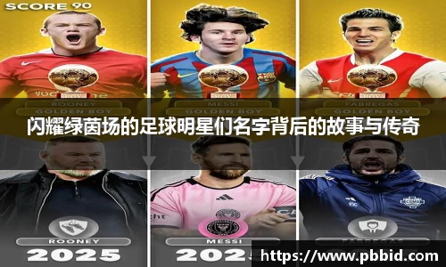 闪耀绿茵场的足球明星们名字背后的故事与传奇